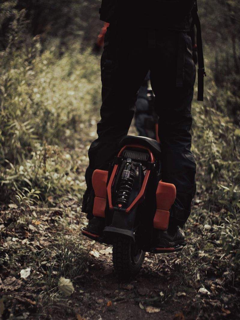 Økologiske Haver i Vintermånederne