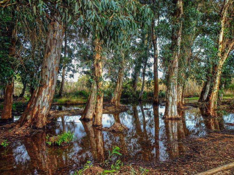 ØkoLiv Danmark - Image 11