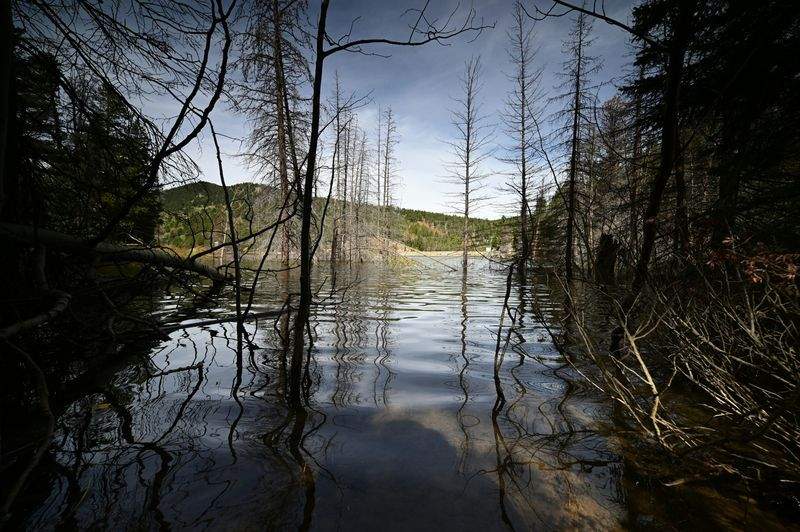 ØkoLiv Danmark - Image 12