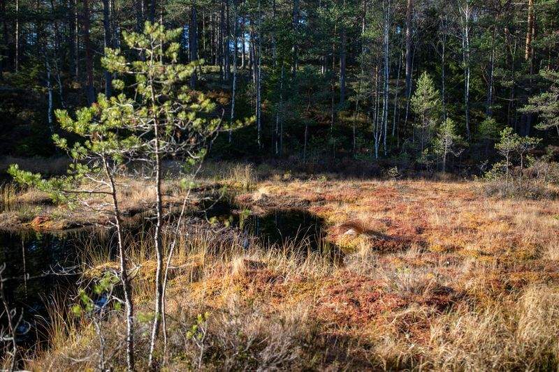 ØkoLiv Danmark - Image 5