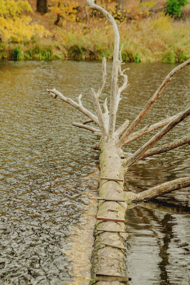 ØkoLiv Danmark - Image 9